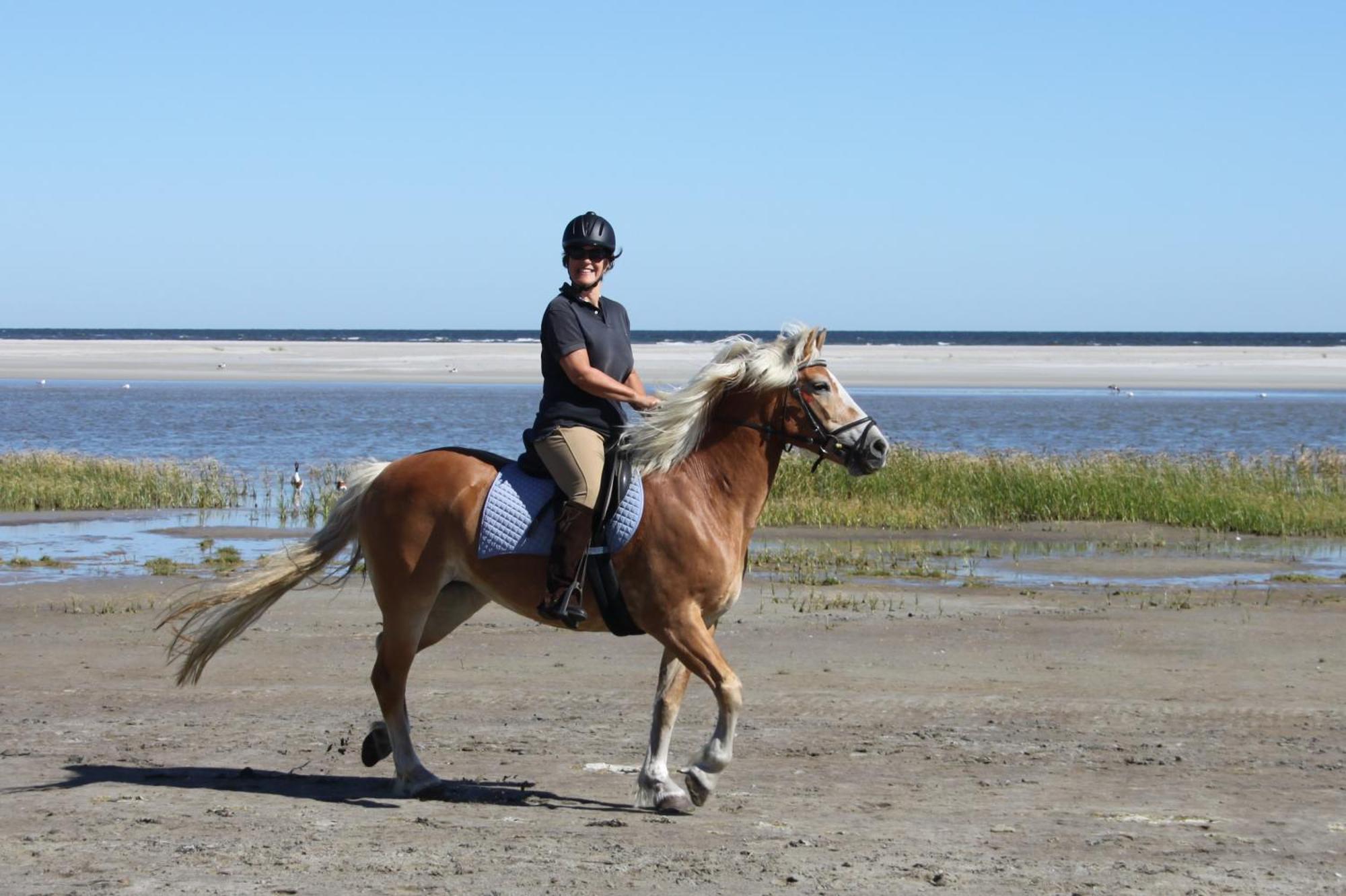 Naar Zee Op Ameland Buren  Exteriör bild